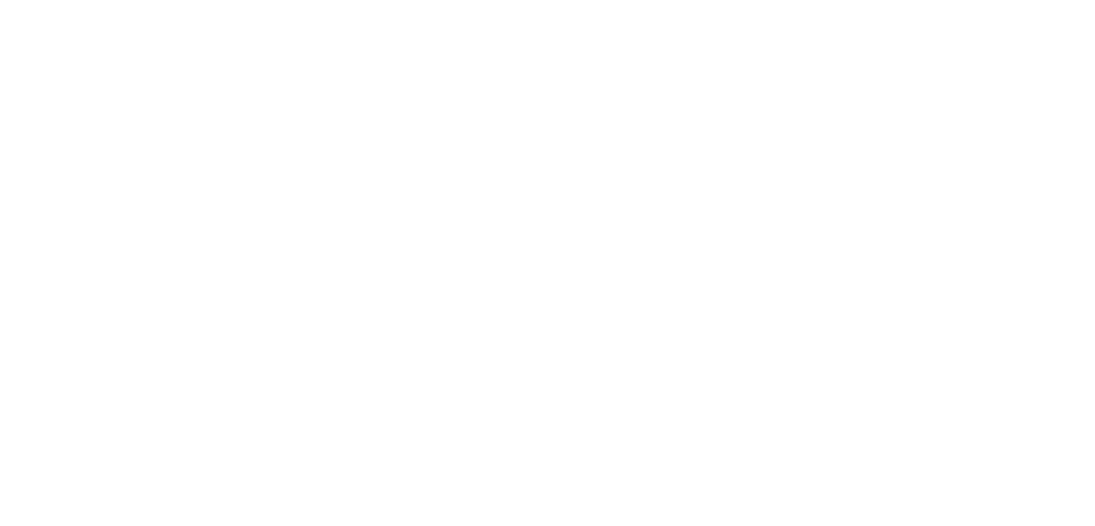 NetSuite