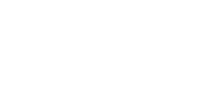 Alliance Partner logo