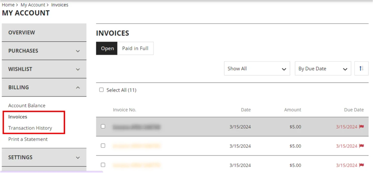 Pending invoices and Transaction History screenshot